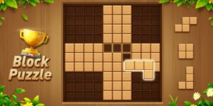 Wood Block Puzzle MOD APK V3.0.5 [Unlimited Keys | Hack] 4